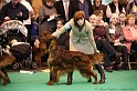 Crufts2011_2 078